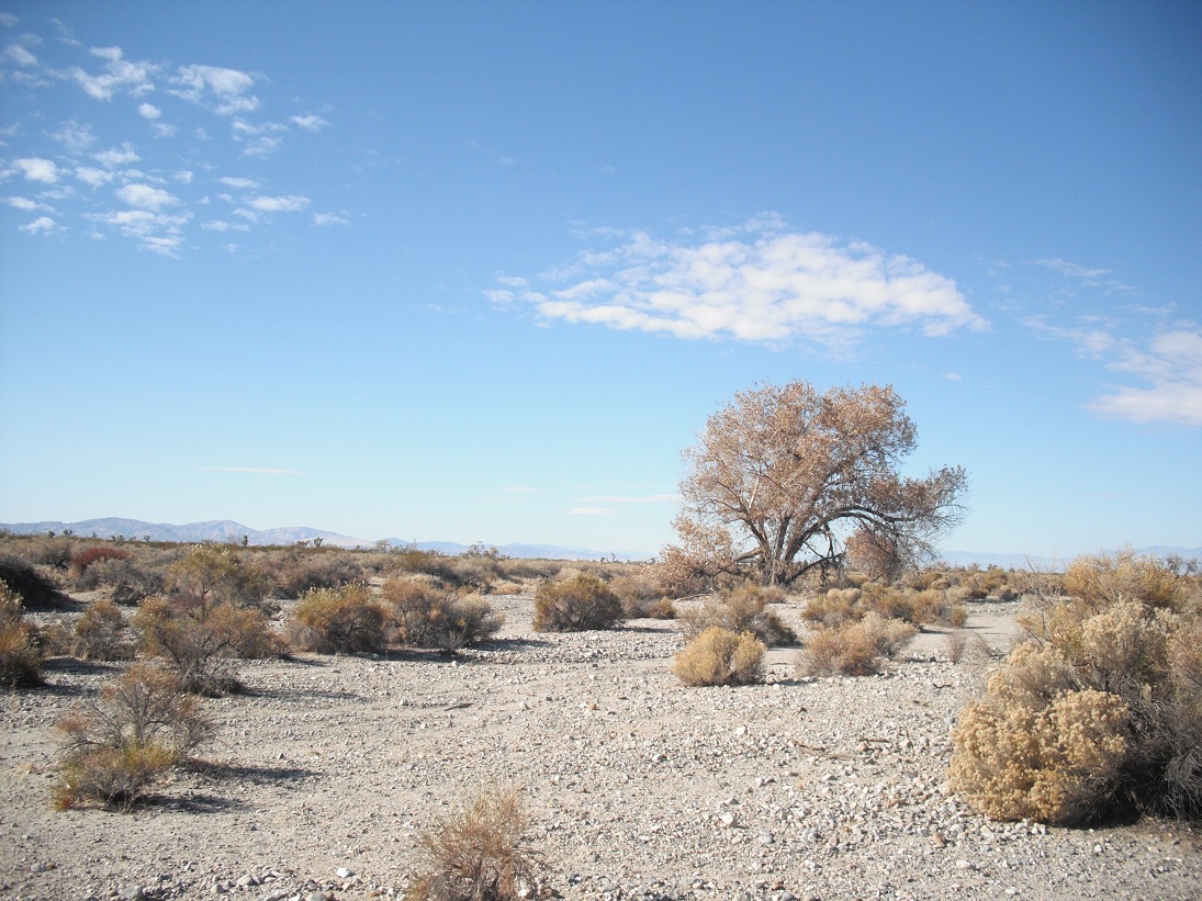 Scorched Desert Location | All Pictures Media Film Locations